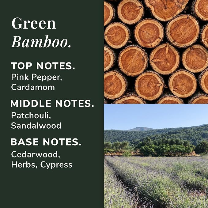 Green Bamboo Aromatherapy Candle – Patchouli, Sandalwood & Cypress Scented Candle, Plant-Based Wax, 15.8 oz, 60 Hour Burn Time, Fresh & Grounding Candle