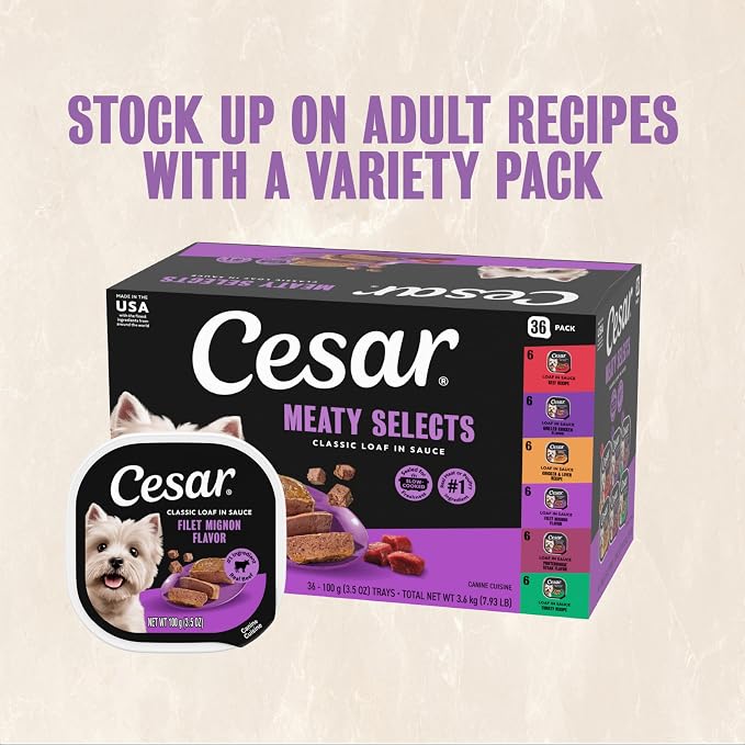 Cesar Classic Loaf in Sauce Wet Dog Food, Filet Mignon, 3.5 oz, 24 Count | Made in USA, Real beef #1 ingredient, no fillers/added sugar/artificial flavors, use as meal or topper, easy peel trays