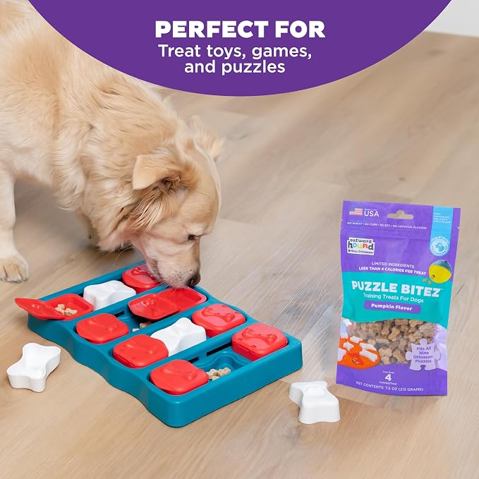 Outward Hound Nina Ottosson Puzzle Bitez Dog Treats, Pumpkin, 7.5 oz | USA Made, Healthy Bite-Sized Treats for Training Reward & Interactive Puzzle Toys, No Artificial Additives, Dogs & Puppies
