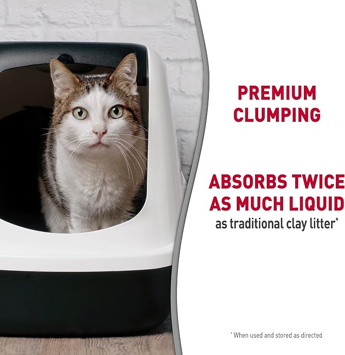 Nature's Miracle Premium Clumping Corn Cob Cat Litter, 10 lbs | Bio-Enzymatic Formula Detroys Tough Odors, 99.9% Dust Free, Premium Clumping Formula Aborbs Liquid, Resealable Bag