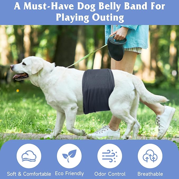 5 Pack Dog Diapers Male Reusable, Premium Belly Bands for Dogs, High Absorbing Male Dog Pee Wraps for Doggie in Incontinence or Excitable Urination Gray,Green,Brown XS