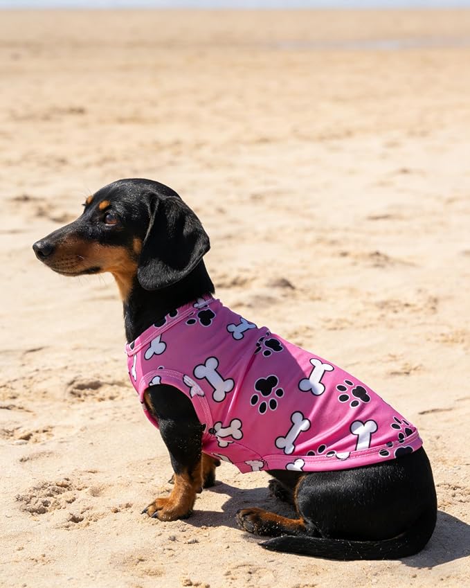PET SHOW 4 Pack Paw Bone Printed Dog Clothes Shirts Soft Dog Vest Lightweight Sleeveless Cats Doggies T-Shirts Puppies Tank Top Tee Cat Clothes for Small Medium Dogs White Black Pink Blue XL