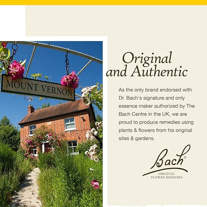 Bach Original Flower Remedies, Gorse - Have Hope - Natural Homeopathic Flower Essence for Emotional Balance - Vegan, Gluten Free, Sugar Free - 20mL Dropper