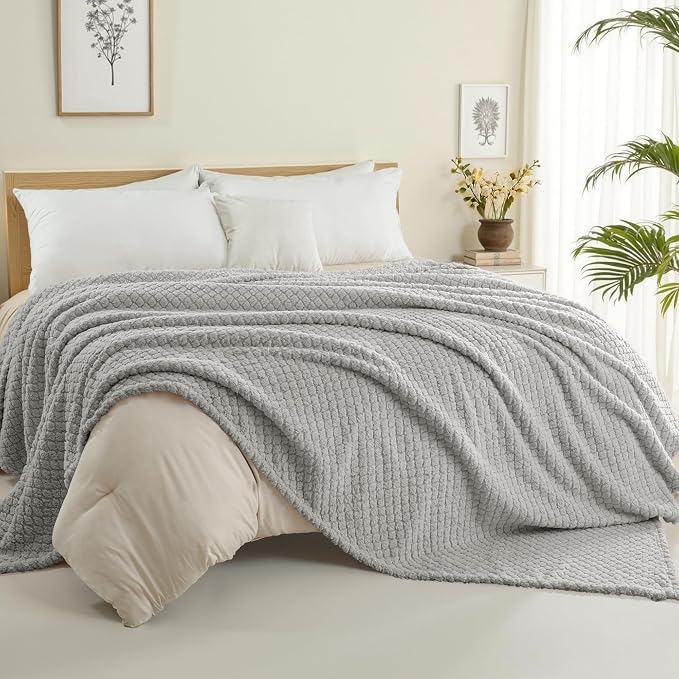 Exclusivo Mezcla Soft Fleece Twin Size Blanket for Bed, Light Grey | Jacquard Lightweight Cozy Bed Blanket, Breathable Decorative Fuzzy Textured All Season Use, 60x80 Inches