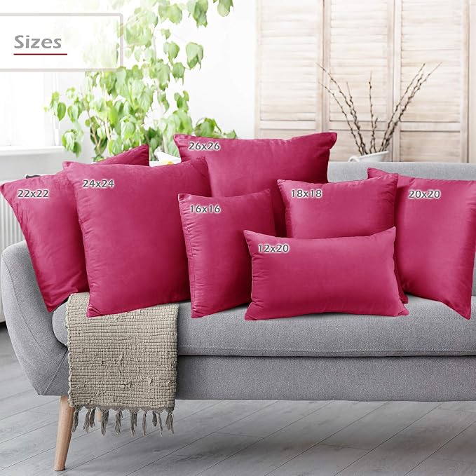 Throw Pillow Inserts Pack of 2 with Velvet Soft Solid Decorative Square Throw Pillow Covers Set for Sofa Couch Car Bedroom, 20X20 Throw Pillows Inserts with 18x18 Washable Cushion Covers, Hot pink