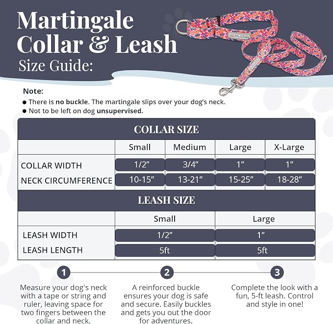 Lucky Love Dog Martingale Collar & Leash Set No Slip Cute – Rosie, Small