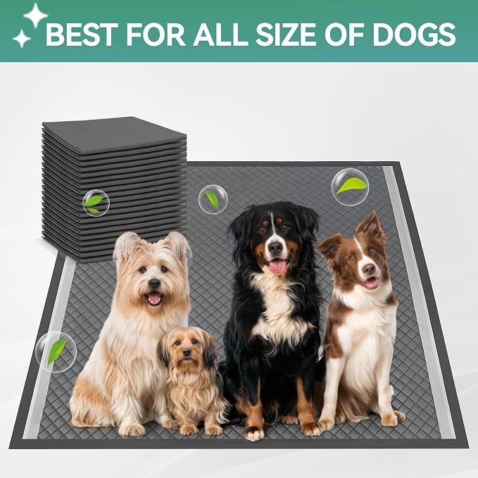 ALL FOR PAWS Pee Pad Holder, XL Dog Litter Box, Puppy Pads Holder, Puppy Potty Tray for Small/Medium Dog Potty Training, 25" x 25"