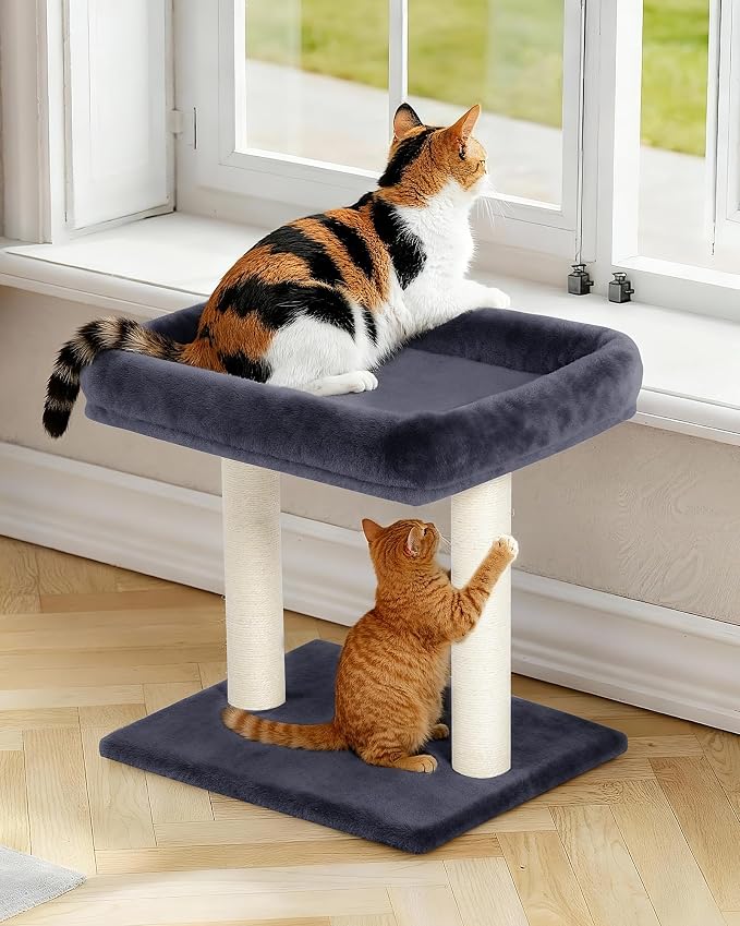 19" Small Cat Tree with Scratching Post for Indoor Cats with Perch | Dark Gray, Removable 19"×15.8" Perch Bed, Dual Natural Sisal Scratcher,Small Cat Tower,Space-Saving