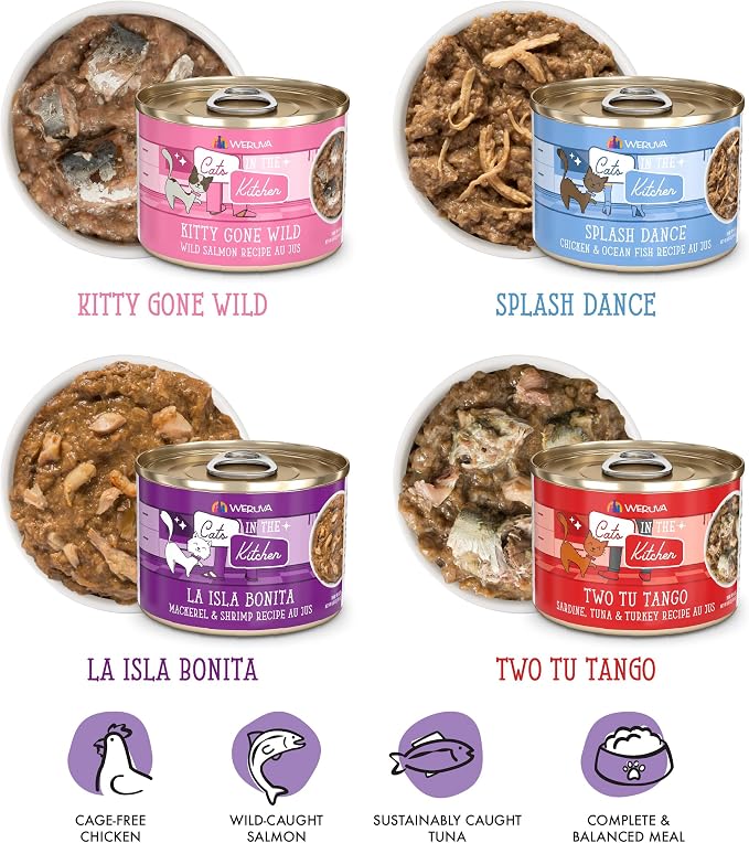Weruva Cats in The Kitchen, The Coolsville Catch! Variety Pack, 6oz Can (Pack of 12)