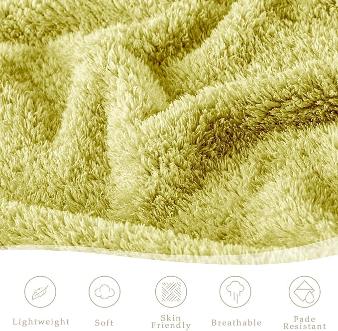 Exclusivo Mezcla Fleece Bed Blankets Queen Size for Bed, 90" x 90" | Super Soft and Cozy Fluffy Blanket for Women, Lightweight and Fuzzy Bedding for Bedroom , All Season, Light Green