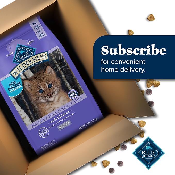 Blue Buffalo Wilderness Chicken Kitten Dry Cat Food, Grain-Free, 2 lb | High Protein, Real Chicken #1 Ingredient, DHA & ARA for Brain and Eye Development, Antioxidant-Rich LifeSource Bits