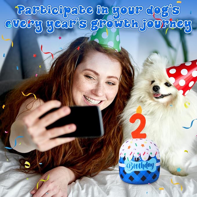 Dansydaisy Dog Birthday Cake Toy Squeaky Plush Gift,2nd,Blue Grid