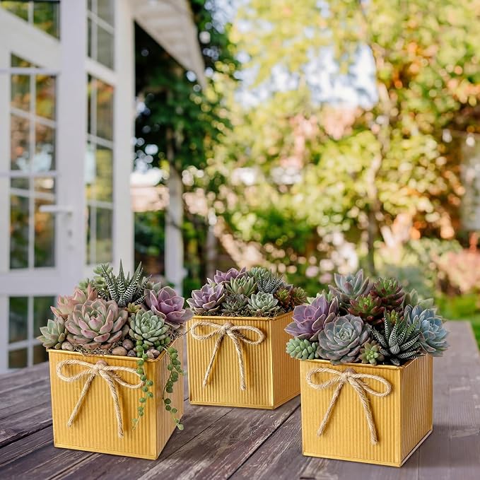 12 Pack Galvanized Square Vases with Floral Foam, 3.5 inch Waterproof Rustic Tin Buckets with Twine Bows, Mini Farmhouse Metal Planter Centerpieces for Wedding Party Table Decor (Gold)