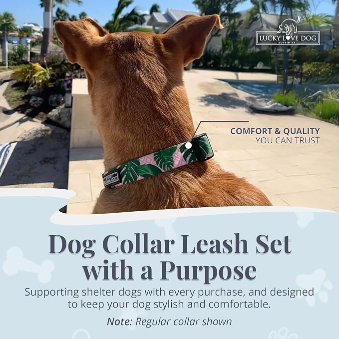 Lucky Love Dog Martingale Collar & Leash Set No Slip Cute – Laguna, Large