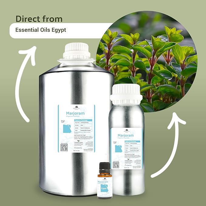 Marjoram Essential Oil - Aceite de Mejorana Direct from Egypt for Massage & Aromatherapy | Premium Therapeutic Grade (2lbs)