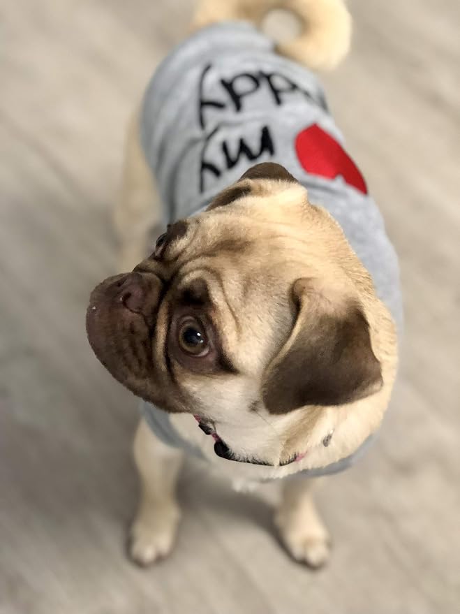 Parisian Pet Dog Shirt - 100% Cotton Shirts for Small Dogs - Grey Sleeveless Dogs Clothes - Lightweight and Breathable Puppy Clothes - Stretchy Dog Apparel - I Love My Daddy T Shirt for Pet