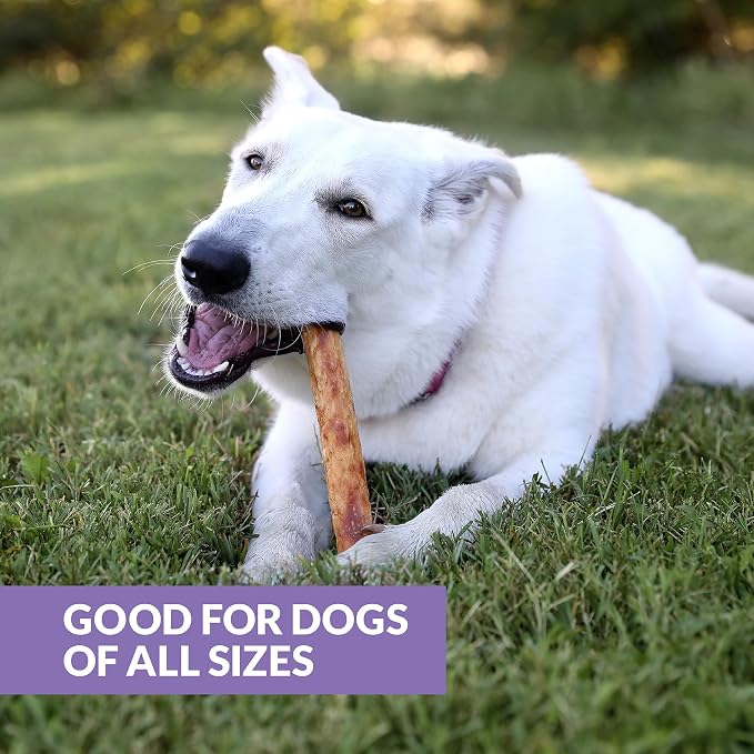 Wild Eats Real Duck Collagen Stick Dog Treat 10", 3 Count, Retriever Rolls | Long lasting rawhide and grain free chews, low fat recipe, suits medium and large breeds, satisfies natural gnawing urges