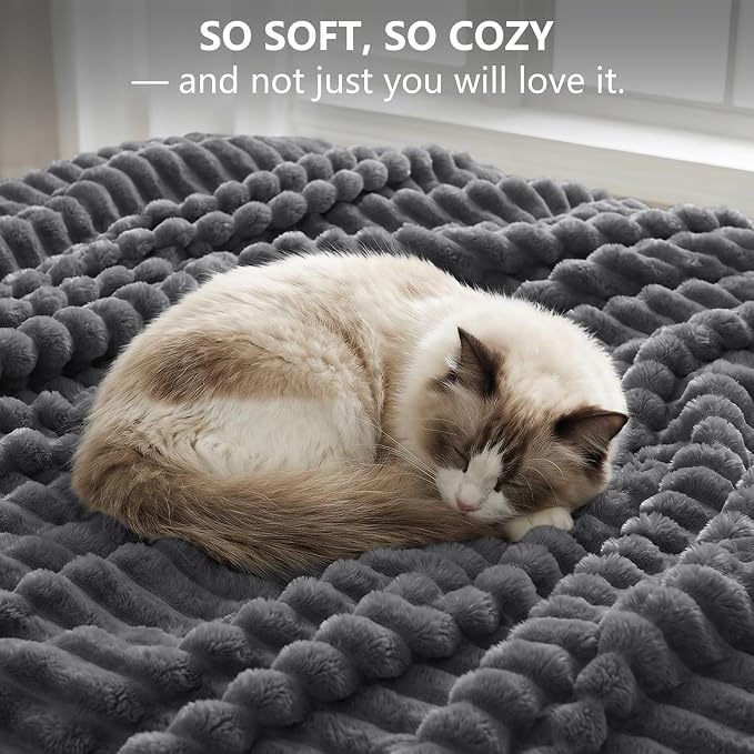 Dark Gray Twin Blanket for Bed & Couch, 60 x 80 Inch | 300GSM Ribbed Fleece Blanket, Soft, Cozy & Lightweight, OEKO-TEX Certified, All-Season Use for Travel, Dorm & Home Decor