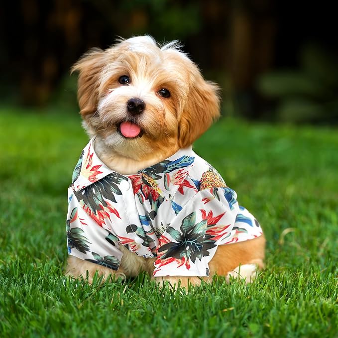 Weewooday 4 Pack Hawaiian Dog Shirts Summer Tropical,Cute Style,X-Large | Breathable Tee for Small Dogs, Beach Vacation Outfit, Floral Pineapple Palm Prints, Button-down Hawaiian Style Pet Shirt