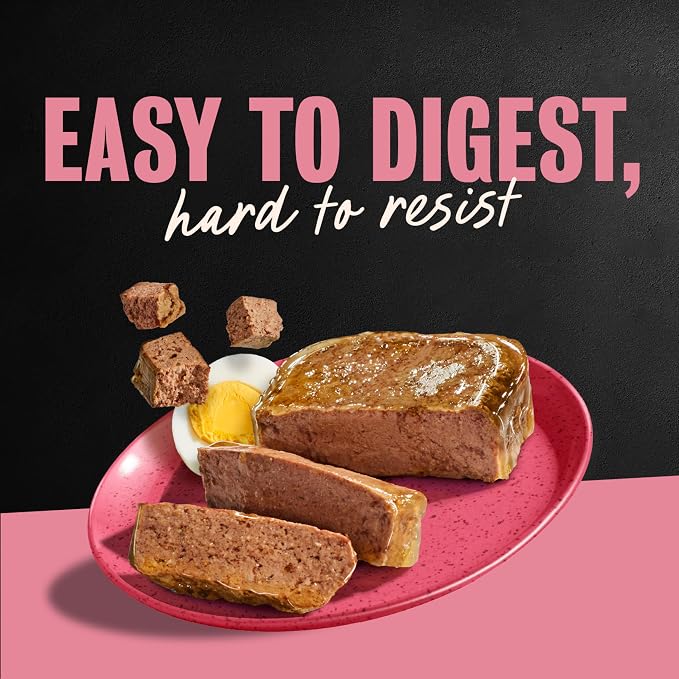 Cesar Classic Loaf in Sauce Wet Dog Food, Bacon & Egg, 3.5 oz, 24 Count | Real pork #1 ingredient, easy peel trays, Made in USA, slow-cooked for tender texture, no fillers or artificial flavors