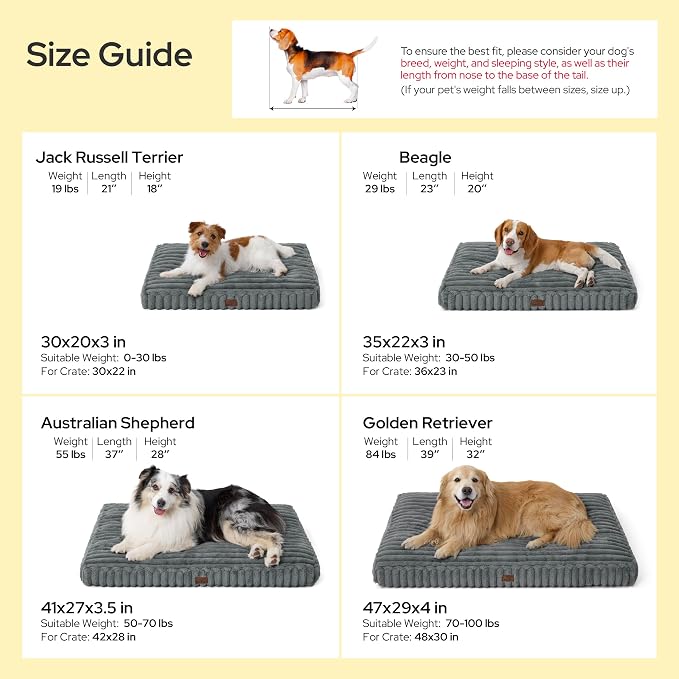 Bedsure ComfyFleece™ Fluffy Balanced Support,Dog Bed Medium Size Dog,30x20 | Golden Ratio Chopped Foam & PP Cotton, Home Decor,Waterproof Liner, Removable Washable Cover, Nonslip Bottom,Sandy Beige