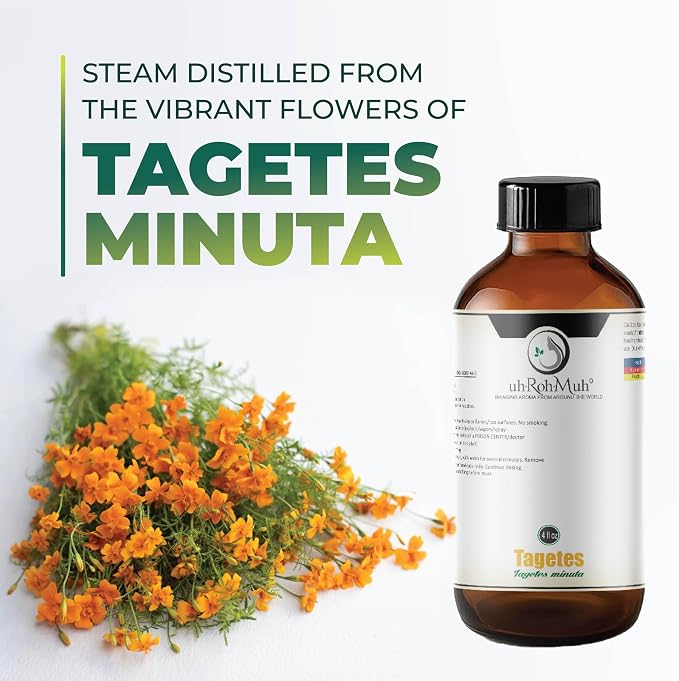Tagetes Essential Oil – 100% Pure Steam Distilled from Tagetes minuta Flowers | Sweet, Citrusy Aromatherapy Oil for Relaxation & Massage | Top Note | Natural & Undiluted | India | 4 Fl Oz