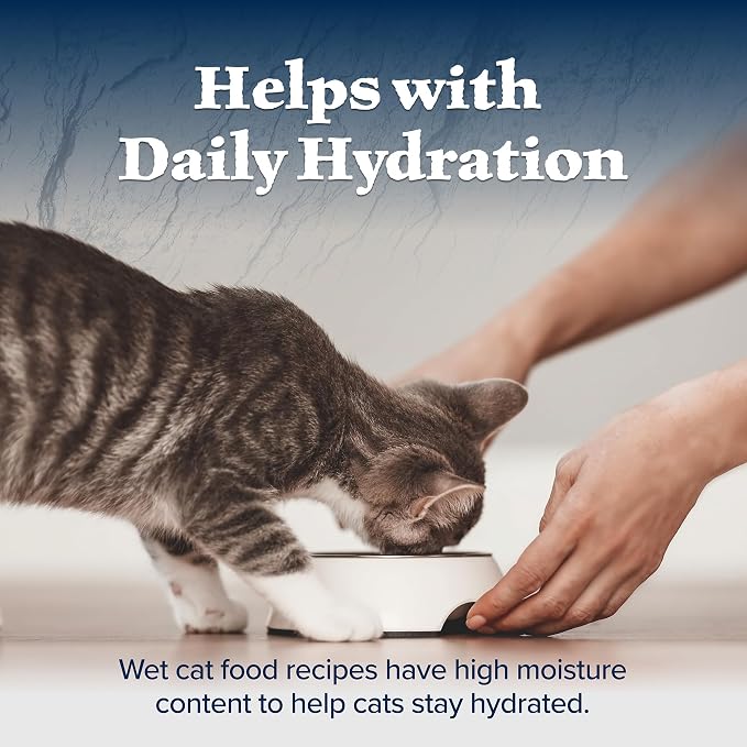 Blue Buffalo Wilderness Natural High Protein Grain Free Wet Food for Kittens,Salmon Pate,3-oz,(Pack of 48)
