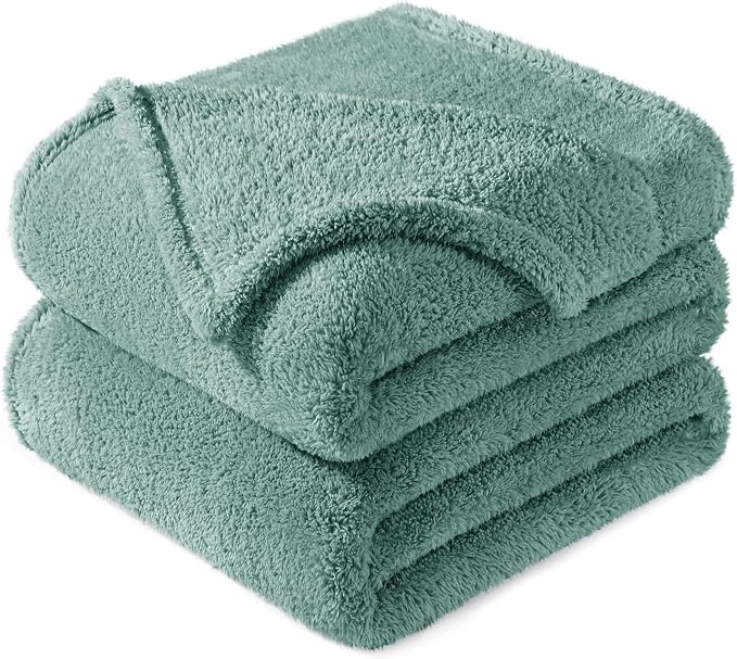 Exclusivo Mezcla Soft Plush Fleece Twin Size Blankets for Bed Living Room | Lightweight Fuzzy Fluffy Large Blanket for All Seasons, Cozy Velvet for Women Men, Machine Washable, 60"x80", Celadon