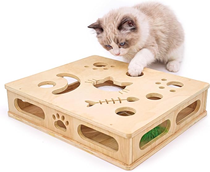 Interactive Cat Toys with Cat Puzzle Box, Cat Puzzle Toys, Kitten Toy