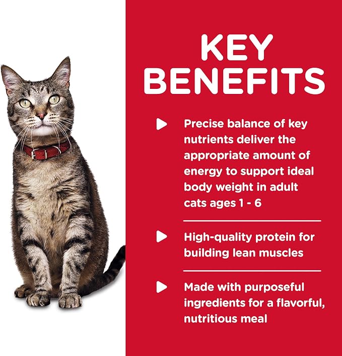 Hill's Science Diet Adult 1-6 Wet Cat Food | #1 Veterinarian Recommended, Minced Chicken, 5.5 oz. Cans, 24-Pack