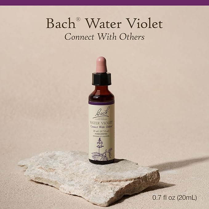 Bach Original Flower Remedies, Water Violet - Connect with Others - Natural Homeopathic Flower Essence for Emotional Balance - Vegan, Gluten Free, Sugar Free - 20mL Dropper