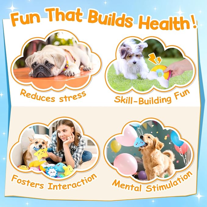 Weather-Themed 20-Pack Squeaky Dog Toys Set