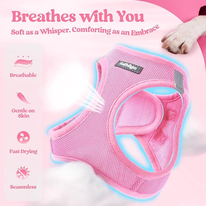 rabbitgoo Dog Harness Small Sized and Leash Set, Step-in Puppy Pet Vest | Light, Soft, Breathable Air Mesh, Easy on and Remove with Hook & Loop, Secure Reflective for Walking, Light Pink M