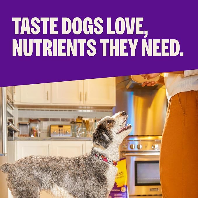 Wellness Complete Health Dry Dog Food with Grains, Made in USA with Real Meat & Natural Ingredients, All Breeds, Adult Dogs (Lamb & Barley, 30-lb) – With Nutrients for Immune, Skin, & Coat Support,