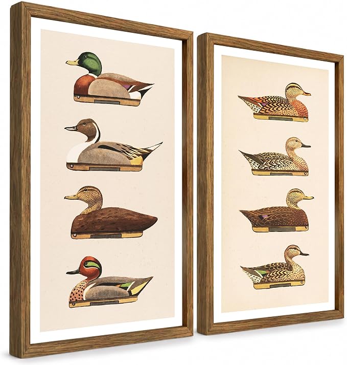 Vintage Duck Wall Art Set of 2 Framed, Waterfowl Bird Prints | Antique Natural History Artwork for Lake House Farmhouse Decor 16x24 Inches