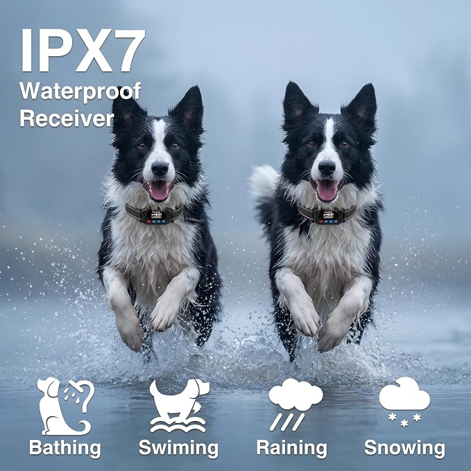 PATPET GPS Wireless Dog Fence System- Electric Fence for Dogs with 3 Warning Modes Waterproof 2 Collar | Safe Zone Radius up to 9999 ft| Outdoor Use Only | GPS Positioning