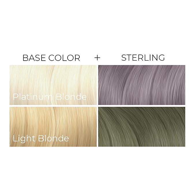 Arctic Fox Semi-Permanent Hair Dye, Vegan & Cruelty-Free, Pastel Silver Toner for Platinum Blonde, Conditioning Formula, Ammonia & Peroxide Free, STERLING, 8 Fl Oz (Pack of 2)