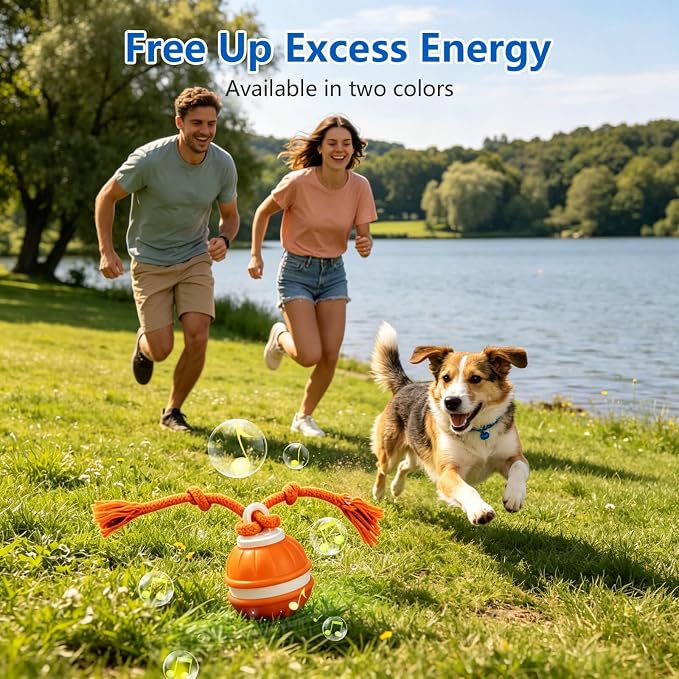 Interactive Dog Ball, 360° Self-Moving, USB-C, LED and Squeaker