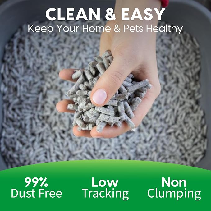 Fresh News Recycled Paper Original Pellet Cat Litter, 12 Pound, Non-Clumping, Unscented, Made in USA (Pack of 3)