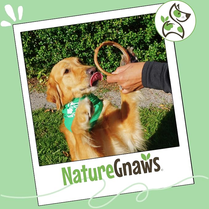 Nature Gnaws Bully Stick Rings Long Lasting Rawhide Free Dog Chews, 5 Count