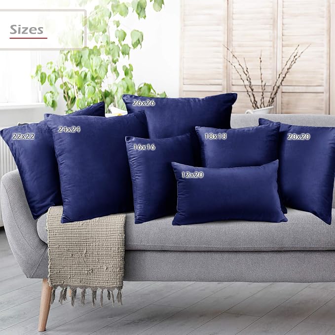 Throw Pillow Inserts Pack of 2 with Velvet Soft Solid Decorative Square Throw Pillow Covers Set for Sofa Couch Car Bedroom, 24X24 Throw Pillows Inserts with 22x22 Washable Cushion Covers, Royal Blue