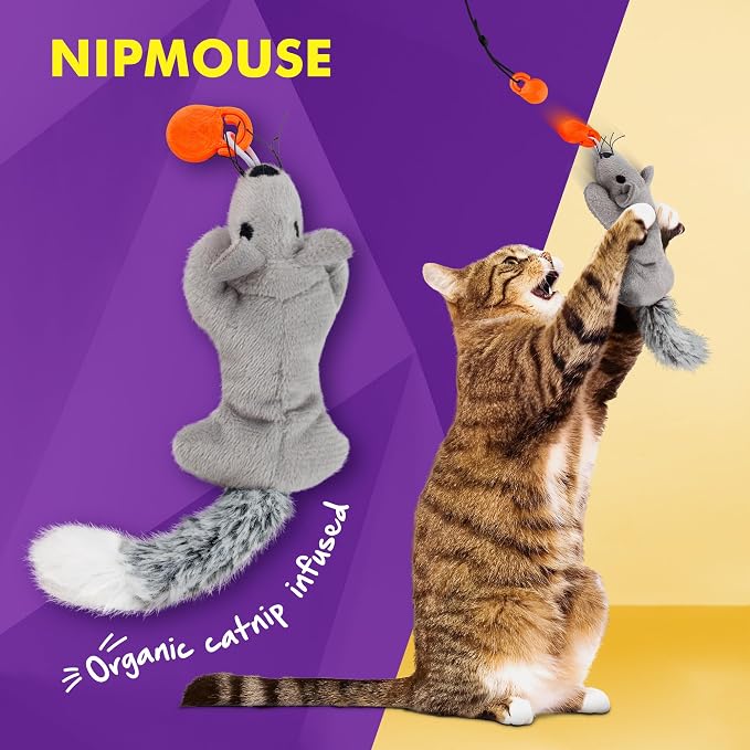 Cat Amazing Snatch Pack - 5 Magnetic Attachments for The Snatch Magnetic Wand Toy - Catnip Mouse, Rattle Snake, Crinkle Fish, Scrunchy Ball and Feather - Cat Teaser Toys - Really Catch!
