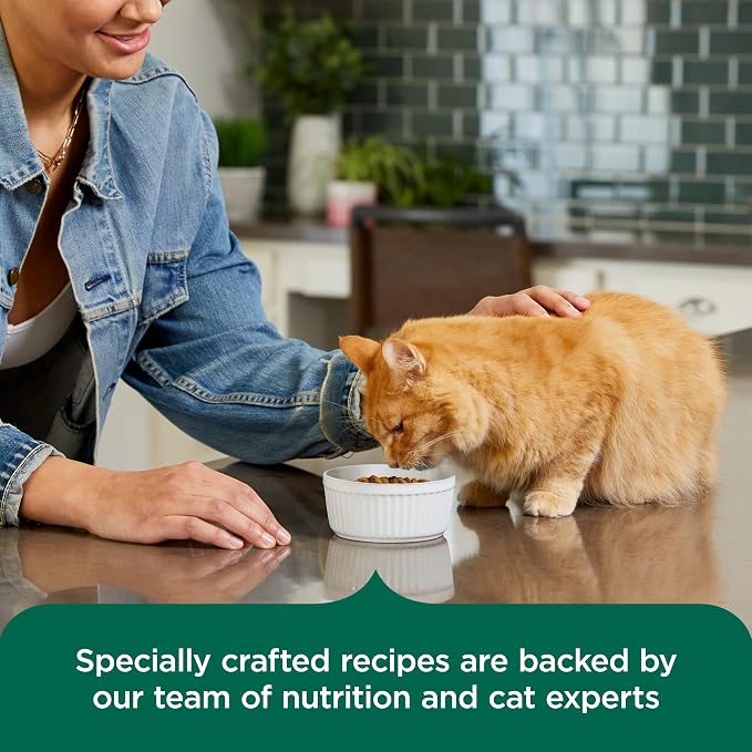 Nutrish Indoor Complete Dry Cat Food, 3 lb. Bag (Rachael Ray) | Chicken, Lentils & Salmon Recipe, Crafted for Adult Indoor Cats, Veterinarian Reviewed Formula