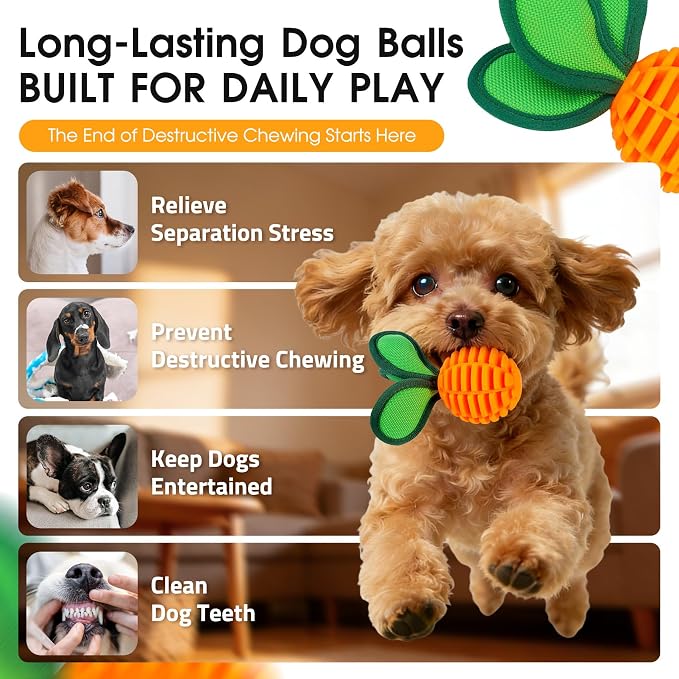 2 Pack Dog Chew Toys for Small Breeds, 2.2" Treat Dispensing Ball, Small Dog Toy Ball with Squeaker for Anxiety & Boredom, Interactive Puppy Chew Toy for Fetch, Tug & Dental Care