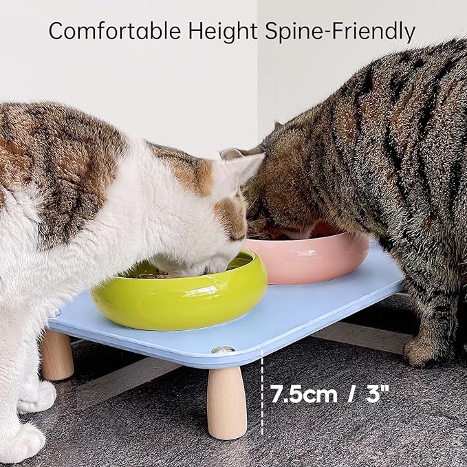 Large Elevated Cat & Dog Bowl Stand,3 inch Height Raised Feeder Compatible with Most Automatic Pet Feeders & Water Fountains, Anti-Slip & Spill-Proof Large Pet Food Tray,17 x 12 Inches (Blue)