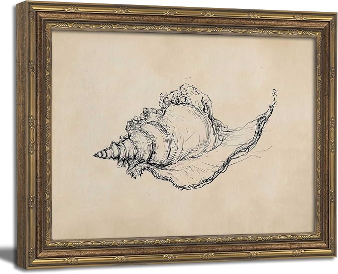 Gold Framed Wall Art Vintage Seashell Sketch Wall Art Summer Rustic Neutral Ocean Conch Wall Decor Coastal Beach House Poster Print for Living Room Bathroom Bedroom 9x11in