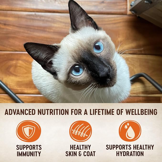 Wellness CORE Tiny Tasters Pate Adult Wet Cat Food,Natural,Protein-Rich,Grain Free,1.75-Ounce Pouch,(Duck),(Pack of 24)