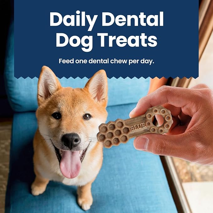 Blue Buffalo Dental Chews Small Natural Dog Treats, Chicken & Spearmint 11.3-oz Bag (28 Count) (Pack of 4)