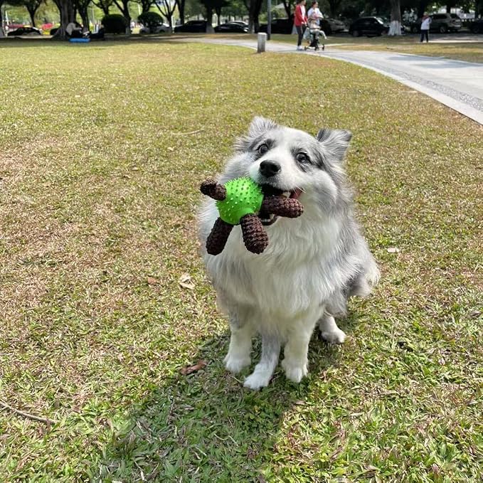 Squeaky Dog Toys, Interactive Durable Plush Pet Toys,Food Dispensing Toy,Funny Rubber Chew Puzzle Toy for Puppy Middle Large Dogs