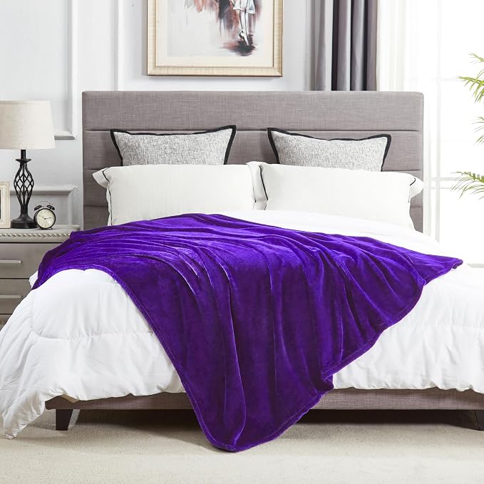 DREAMNINE Super Soft Fuzzy Fleece Throw Blanket for Couch Sofa 50" x 60",Decorative Solid Lightweight Velvet Blanket for Chair, Cozy Accent Shaggy Micro Plush Flannel Blankets for Bedroom Dorm, Purple